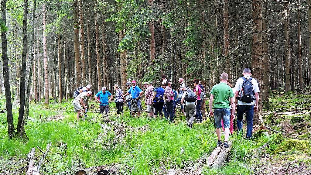 Eine Exkursionsgruppe von ca. 15 Personen wandert durch den Wald