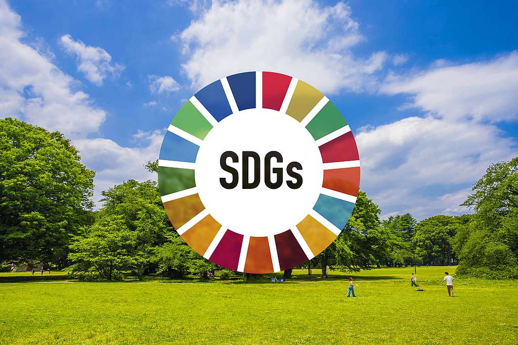 Das SDG Logo vor dem Hintergrund von Wiesen, Bäumen und Himmel