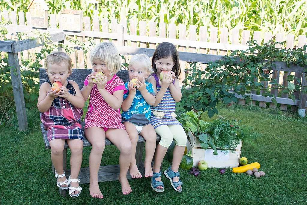 Vier Kinder sitzen auf einer Gartenbank und essen Obst