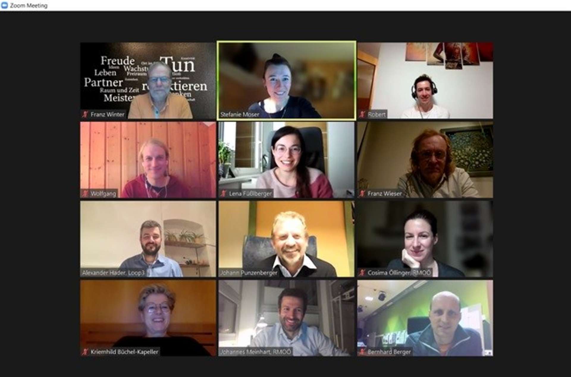 Screenshot einer Zoom-Konferenz mit 12 TeilnehmerInnen